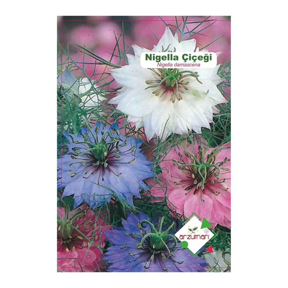 Nigella (Nigella) 40 adet – Ürün görseli