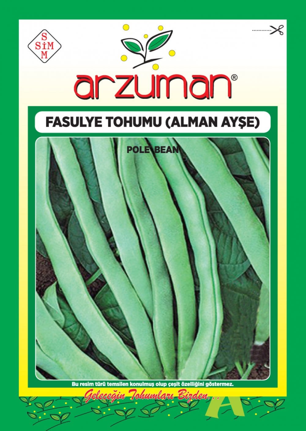 Alman Ayşe Fasulye – Ürün görseli