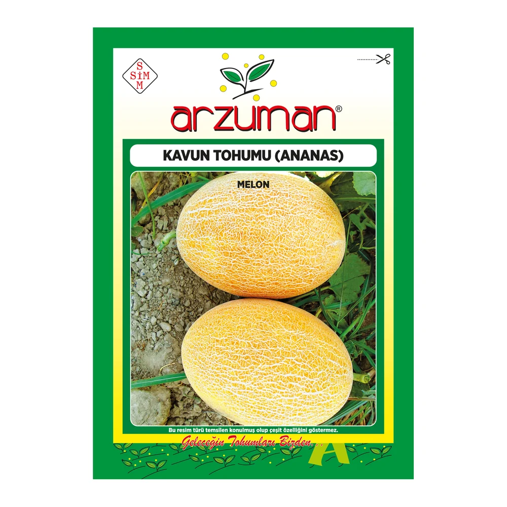 Ananas Kavun – Ürün görseli