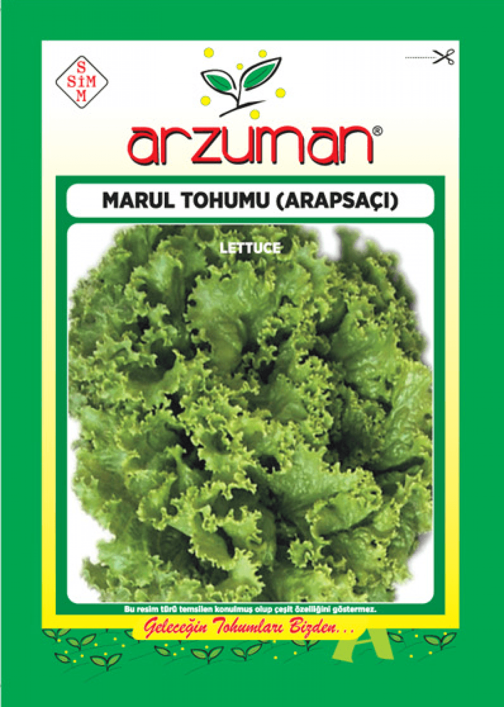 Arapsaçı Marul – Ürün görseli