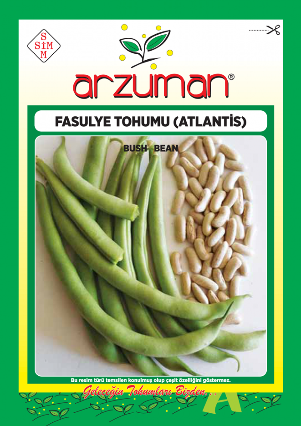 Atlantis (Kırkgünlük) Fasulye