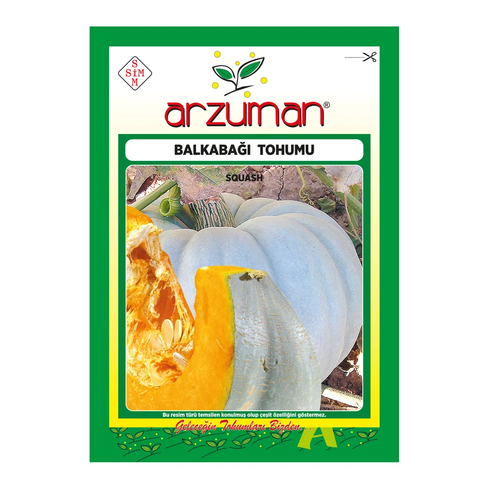 Bal Kabağı – Ürün görseli