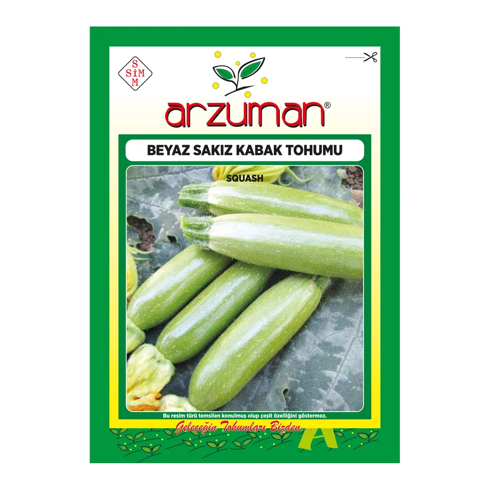 Beyaz Sakız Kabak