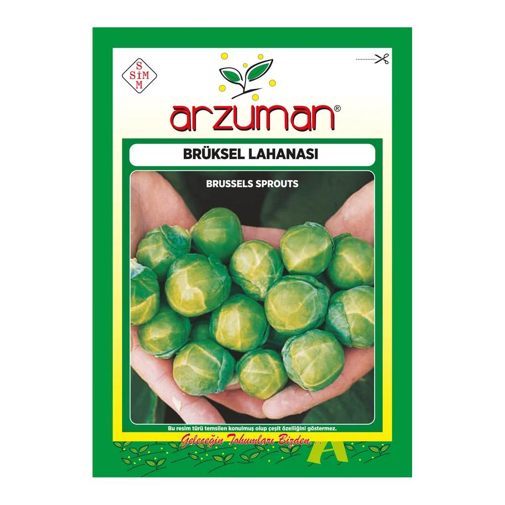 Brüksel Lahana