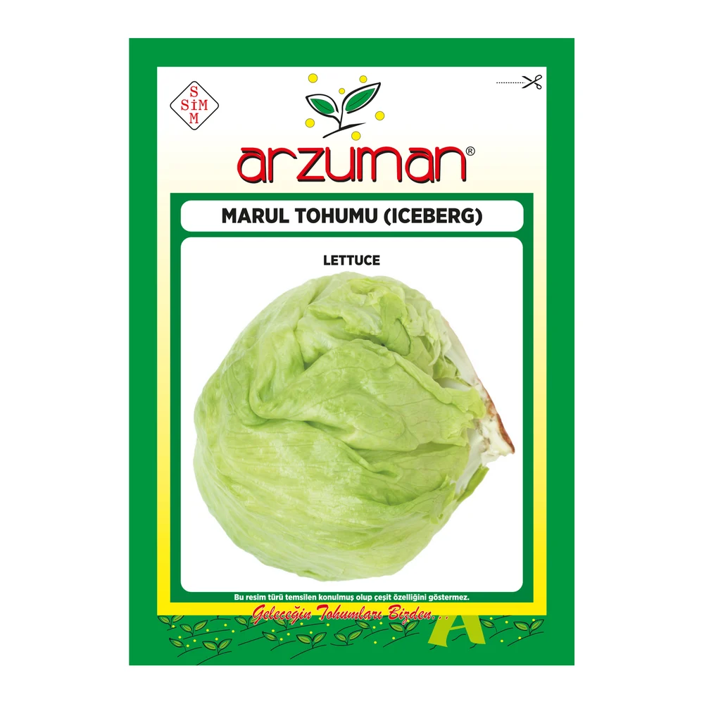 Iceberg