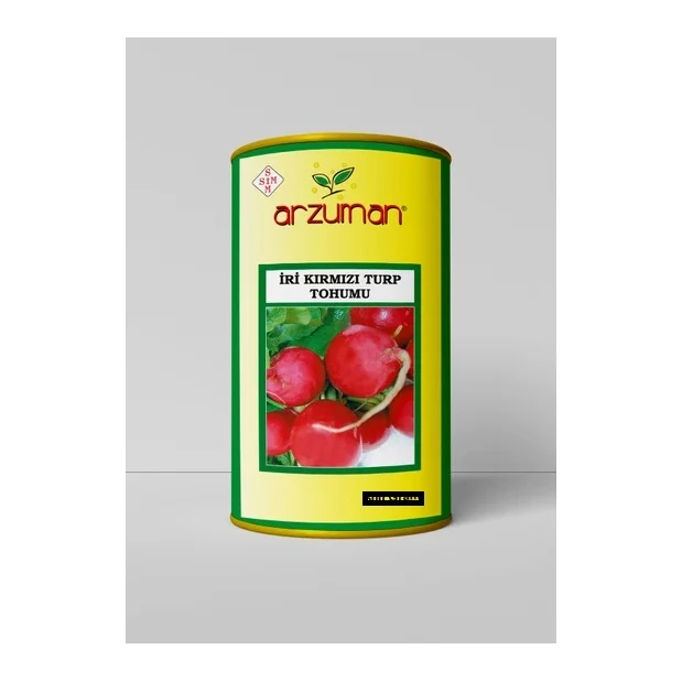 İri Kırmızı Turp 100 g – Ürün görseli