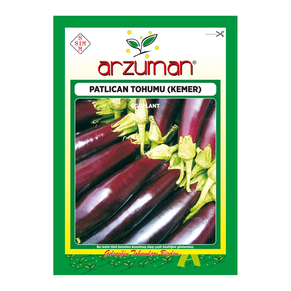 Patlıcan Tohumu (Kemer) 10 g