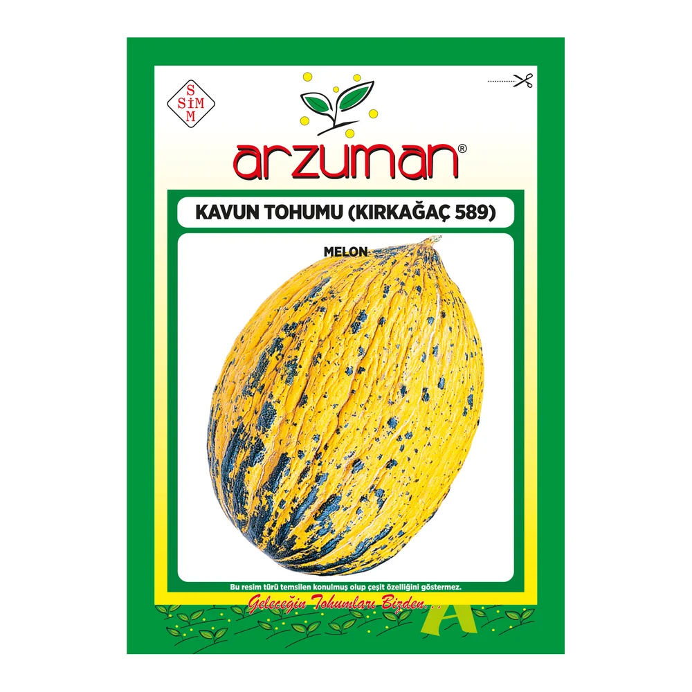 Kavun Tohumu (Kırkağaç 589) – Ürün görseli