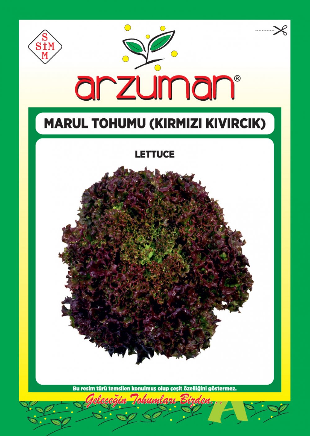 Kırmızı Kıvırcık Marul