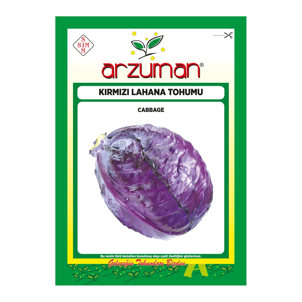 Kırmızı /Mor Lahana