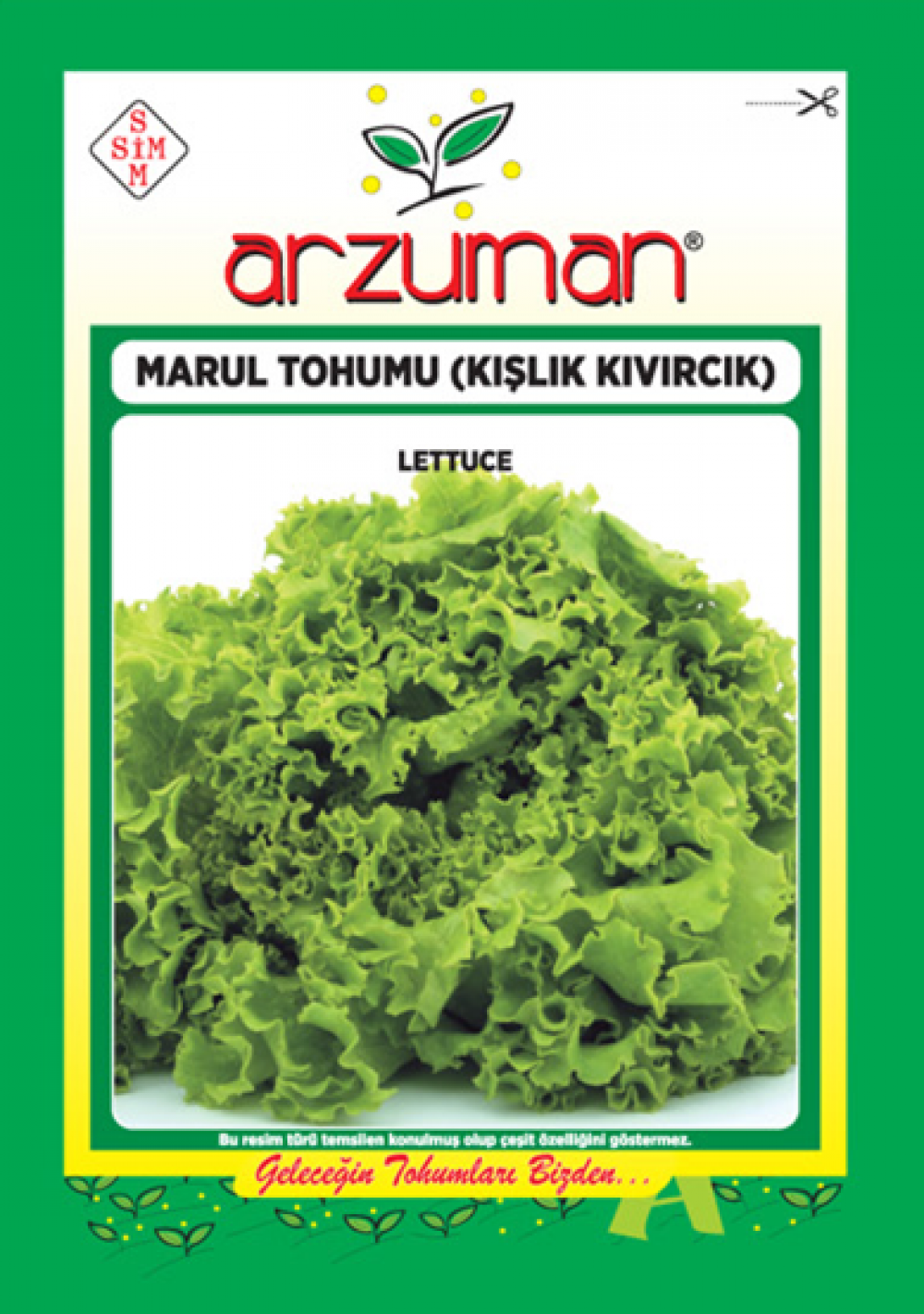 Kışlık Kıvırcık Marul