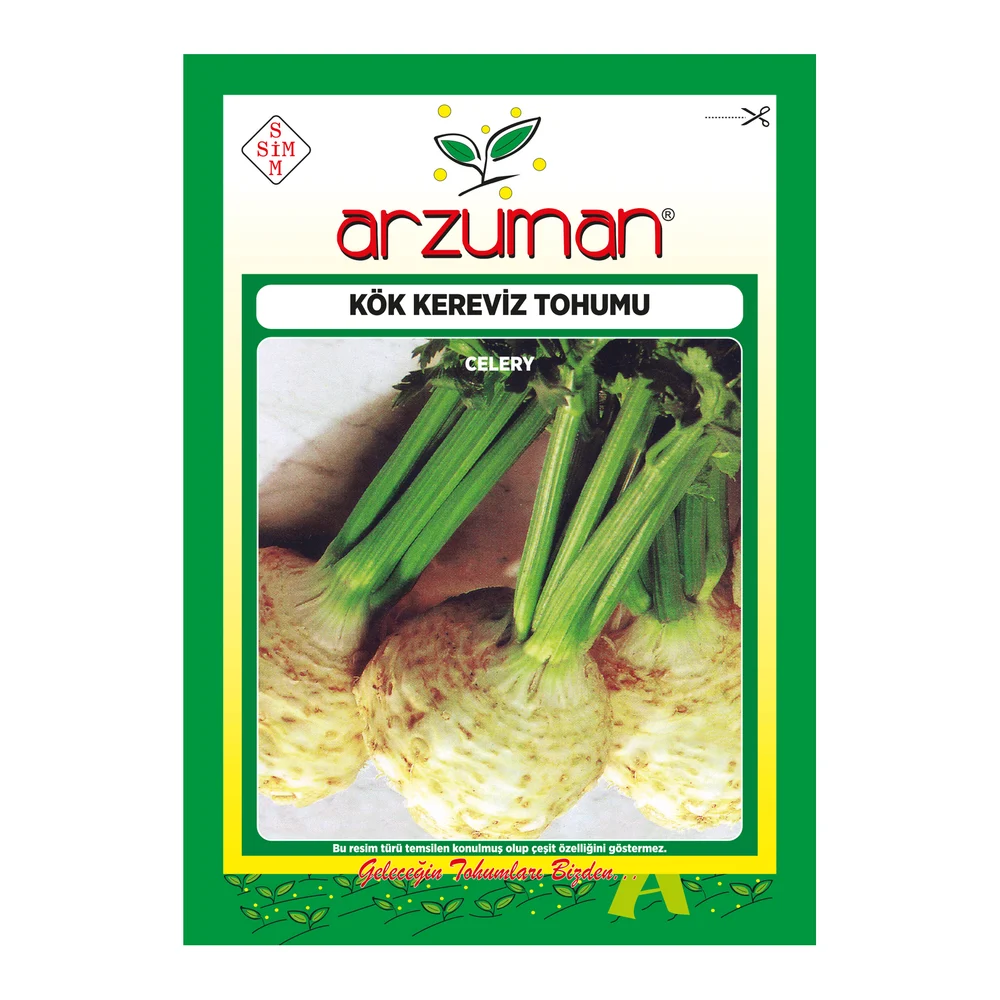 Kök Kereviz