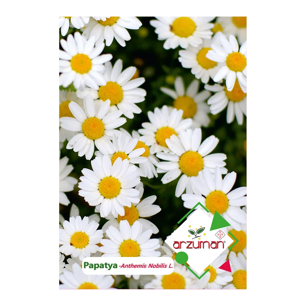 Papatya – Ürün görseli