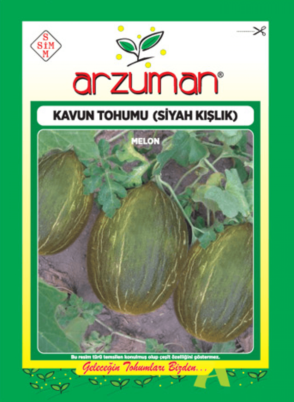 Siyah Kışlık Kavun – Ürün görseli