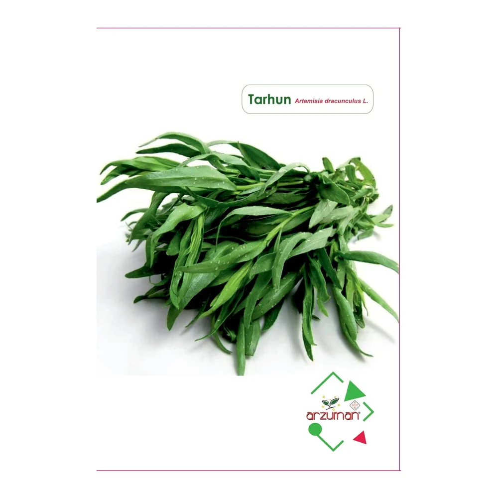 Tarhun (100 adet)