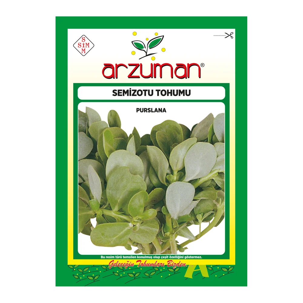 Yeşim Semizotu – Ürün görseli