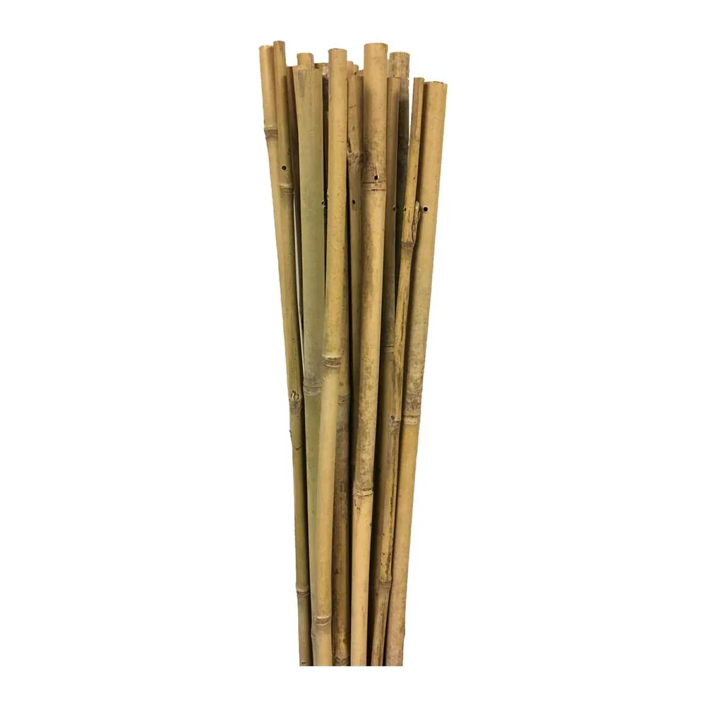 Gardener 163702 Bambu Destek Çubuğu 6-8 mm X 60 cm