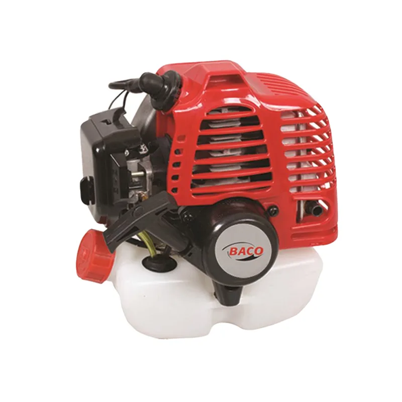 Baco Tek Motor İlaçlama 1.5 HP İpli