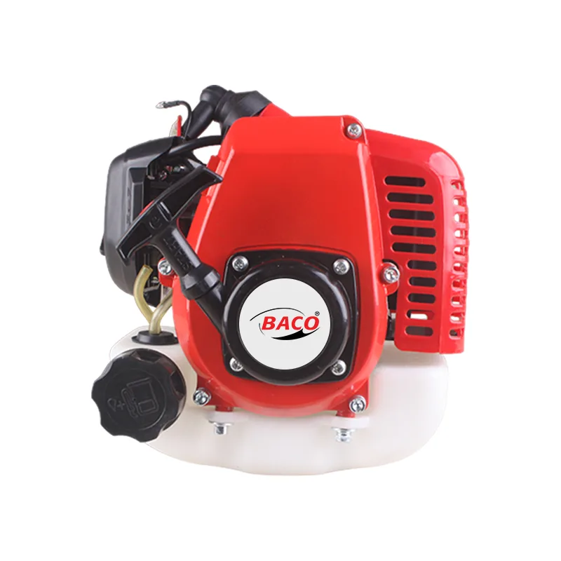 Baco Tek Motor Lükstrüm 1.5 HP İpli