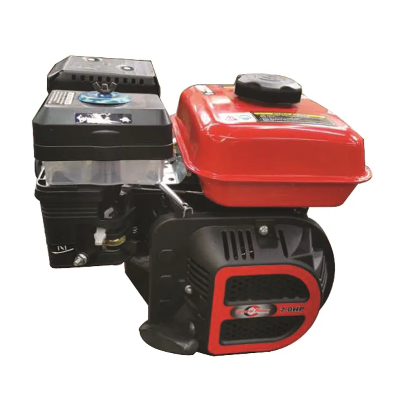 General Power Tek Motor 19 mm 7.0 HP Kamalı İpli