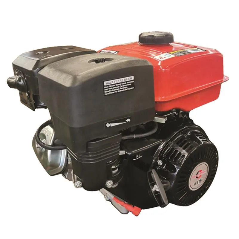 General Power Tek Motor 9.0 HP Kamalı Benzinli İpli