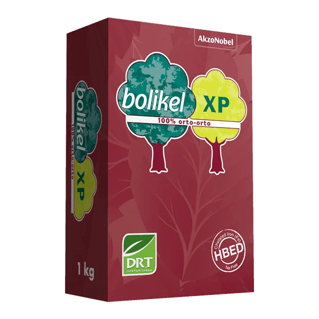 Bolikel XP – Ürün görseli