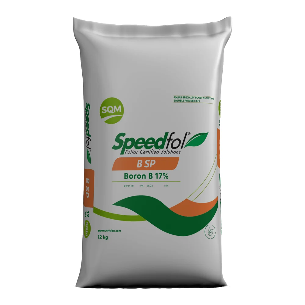 Speedfol Bsp – Ürün görseli