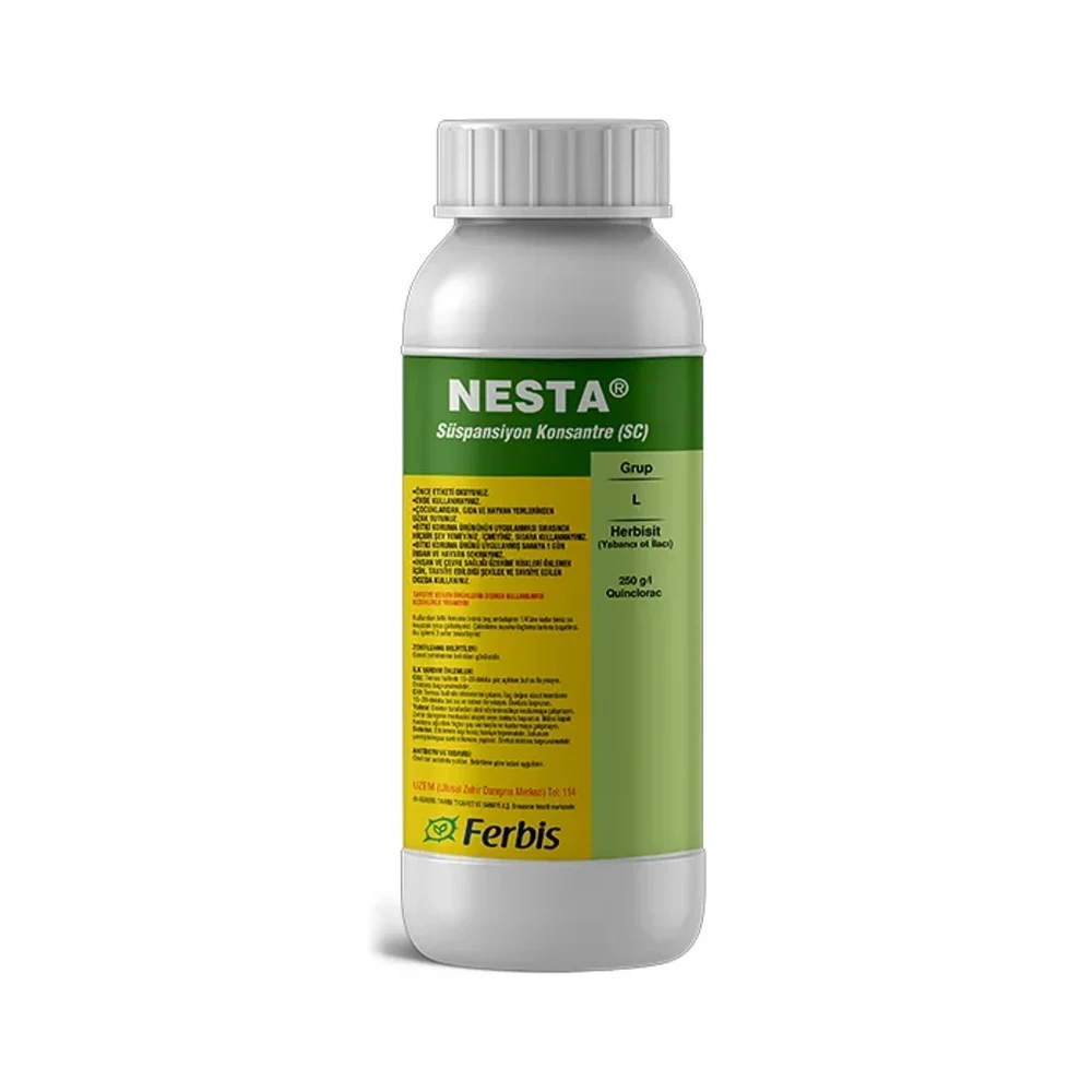 Nesta