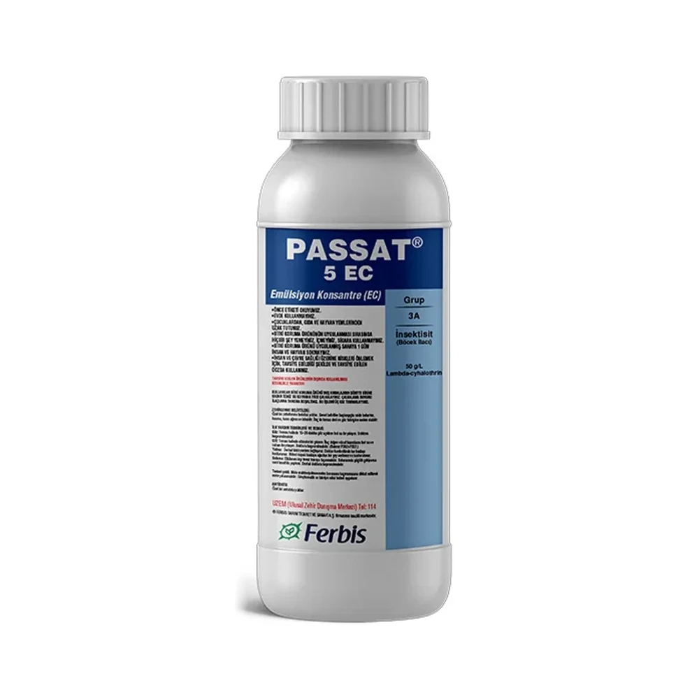Passat 5 EC