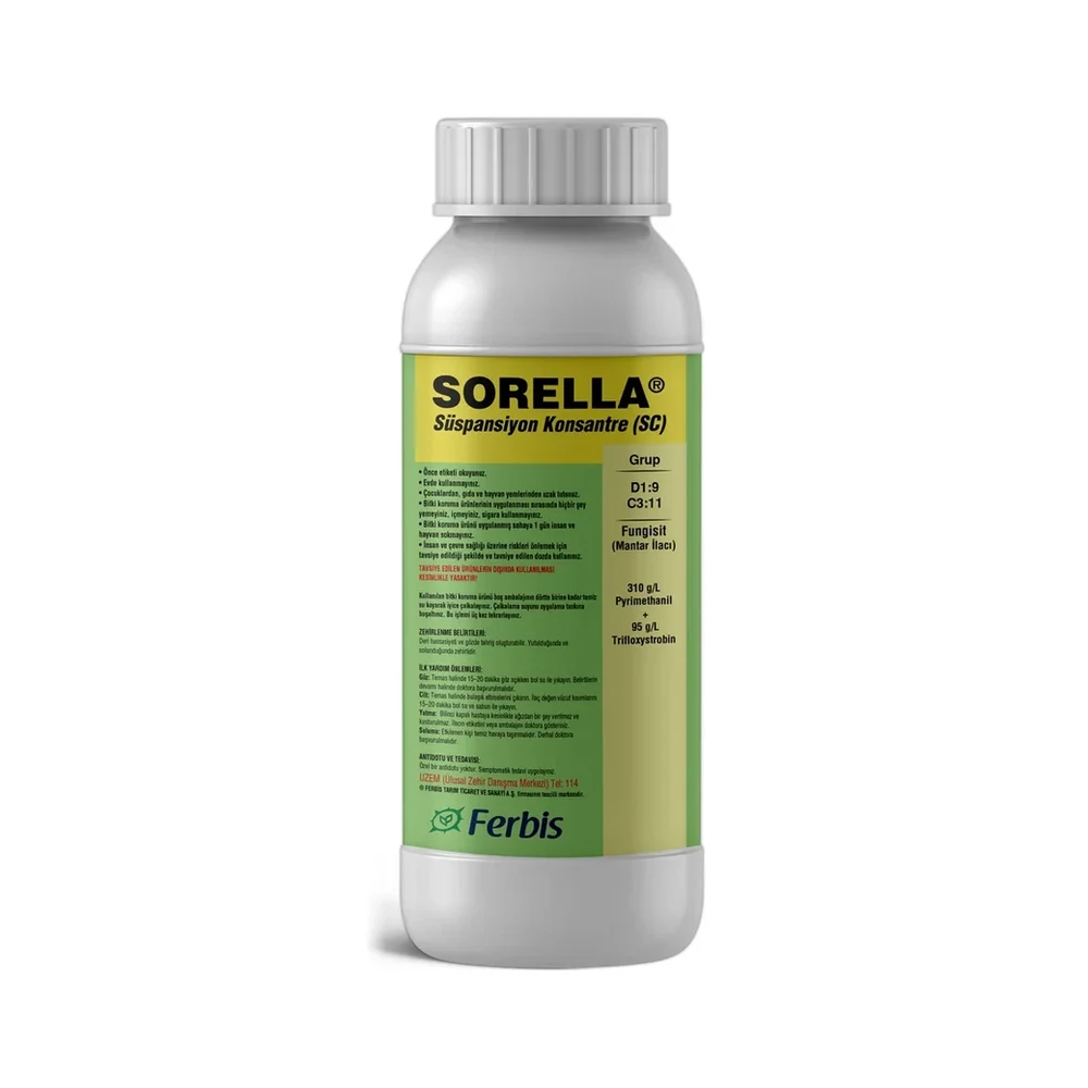 Sorella