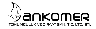 Ankomer logosu