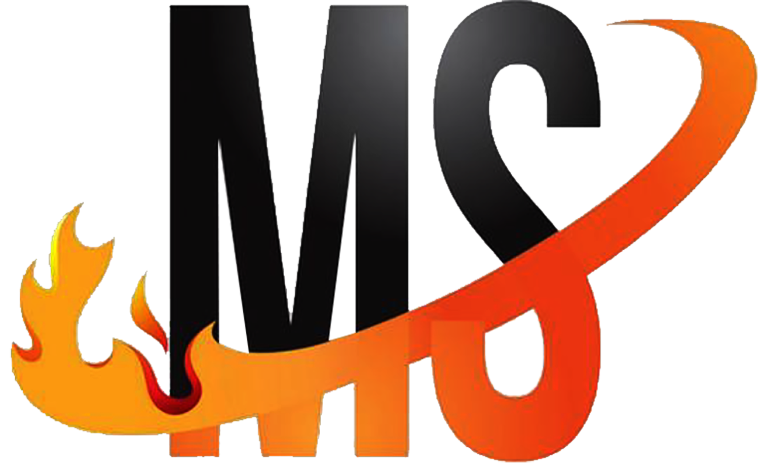 MS logosu
